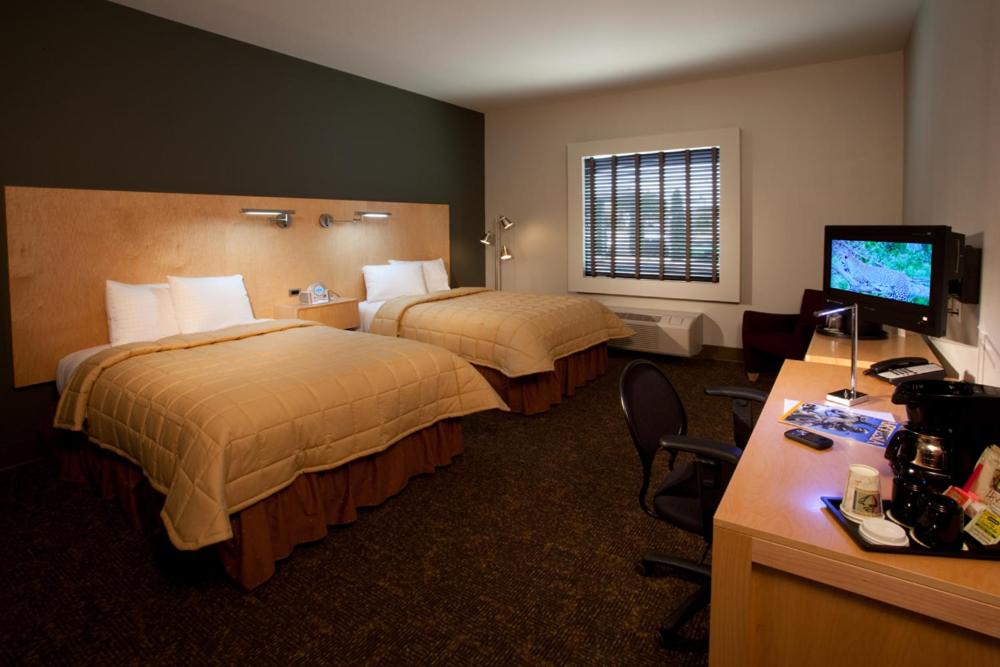 Room image 6